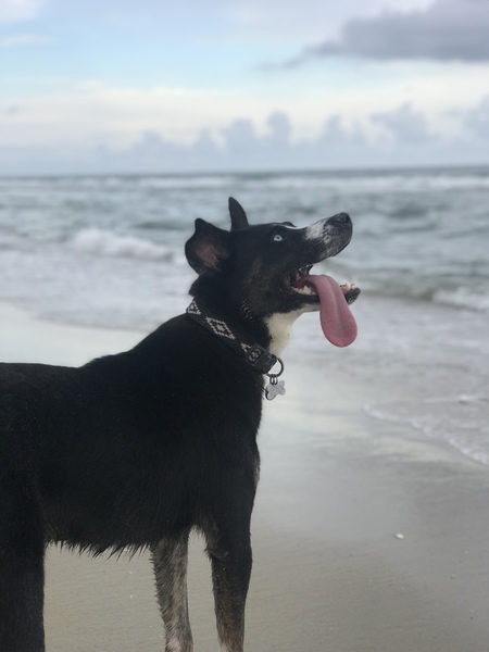 Entry image for Skylar May. Clicking this image will show a larger photo