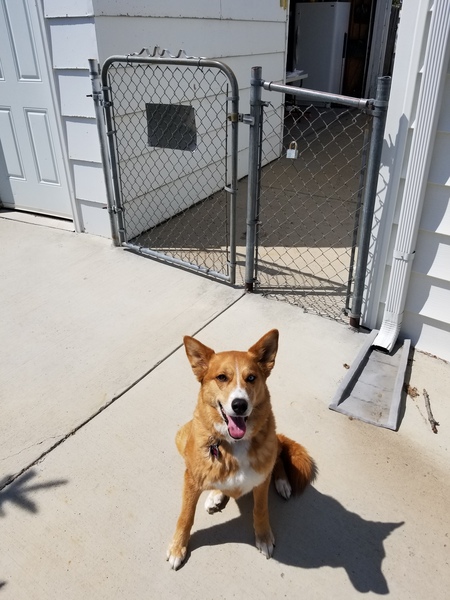 Entry image for Lady. Clicking this image will show a larger photo