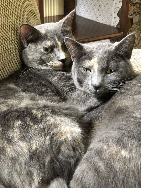 Entry image for Patty and Marcie. Clicking this image will show a larger photo