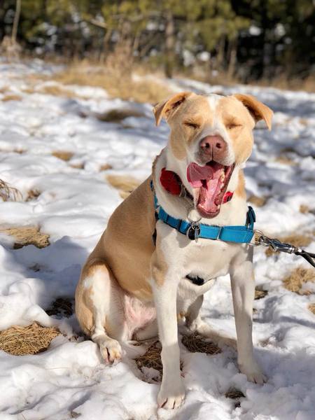 Entry image for Summer. Clicking this image will show a larger photo