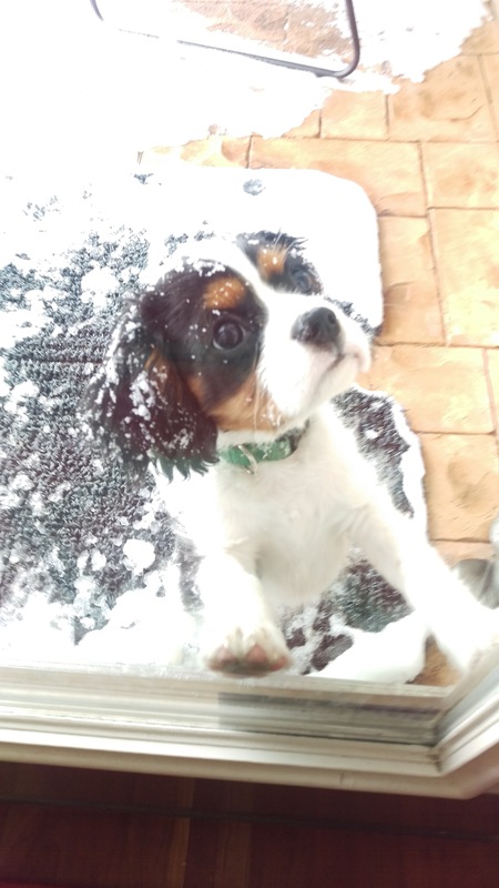 Entry image for Henley. Clicking this image will show a larger photo