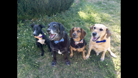 Entry image for Ace Duke Rusty Charlie. Clicking this image will show a larger photo