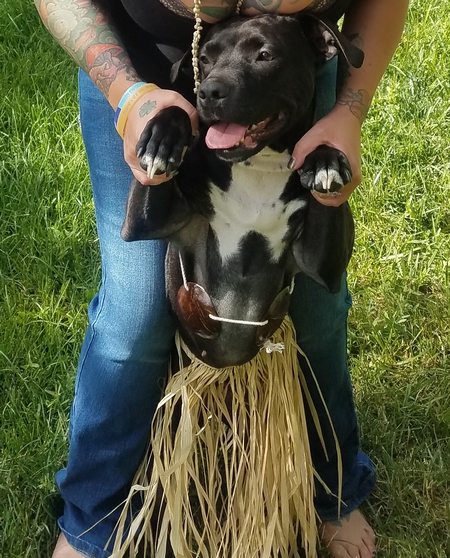 Entry image for Star. Clicking this image will show a larger photo