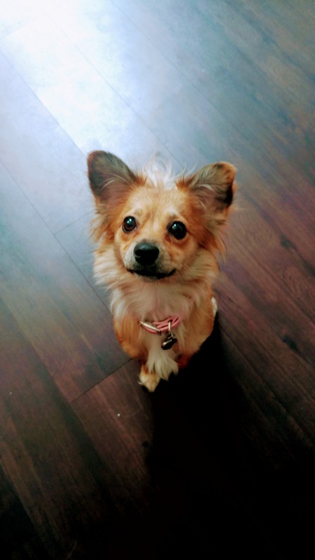 Entry image for Maria. Clicking this image will show a larger photo