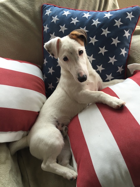 Entry image for Jackson. Clicking this image will show a larger photo