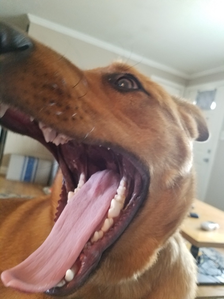 Entry image for Fenway. Clicking this image will show a larger photo