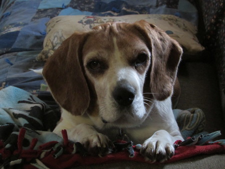 Marley