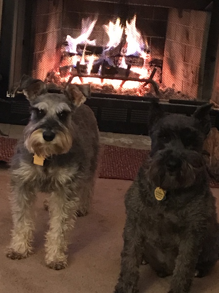Teddy and Sophie