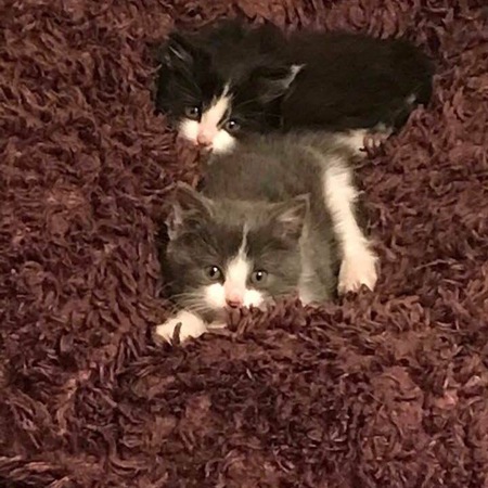 Roy and Lucy