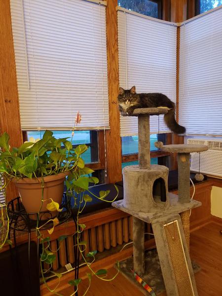 Luna