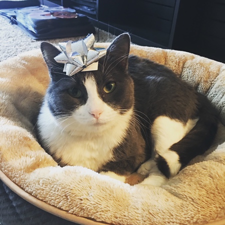 Luna