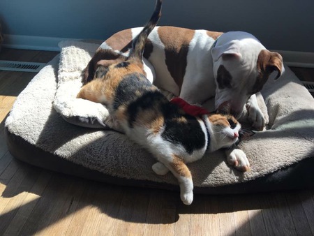 Bosco and Rita