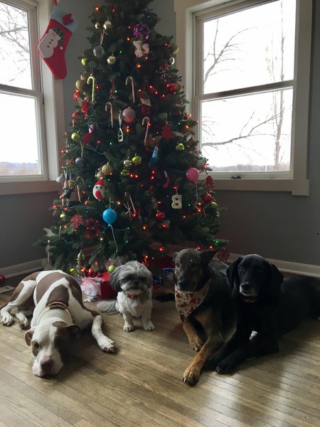 Bosco, Barbara, Andi and Cindy