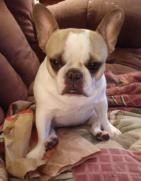 Tinka
