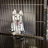 Entry image for Cinder