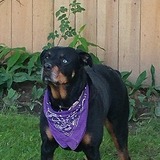 Entry image for Khloe