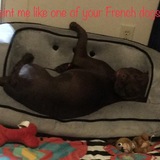 Entry image for Chloe