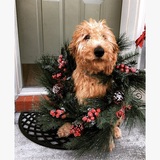 Entry image for Lilah 