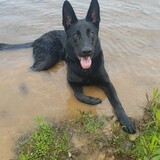 Entry image for Zeus 