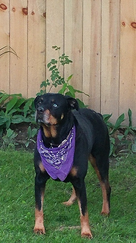 Entry image for Khloe. Clicking this image will show a larger photo