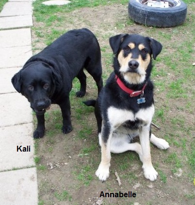 Annabelle & Kali