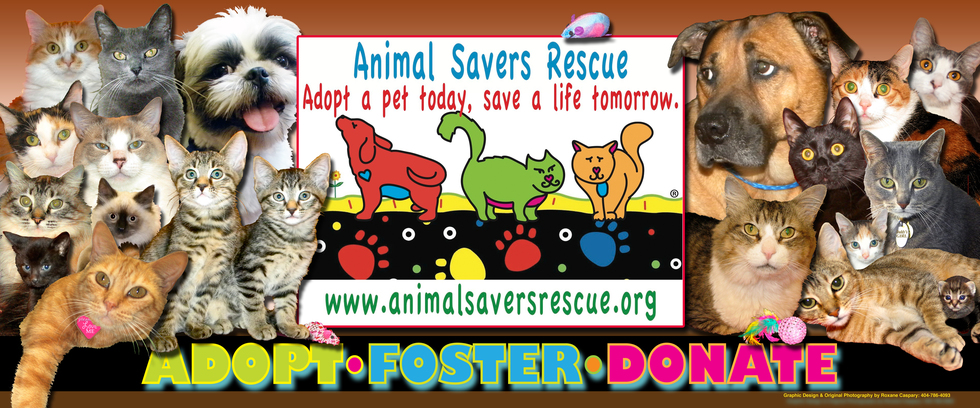 Banner for Animal Savers Rescue 2014 Photo Contest