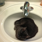 Entry image for Cleo