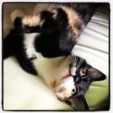 Entry image for Lil Bit