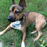 Entry image for Kenny