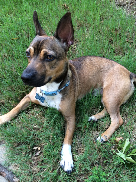 Entry image for Kenny. Clicking this image will show a larger photo