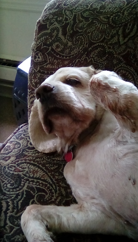 Chloe