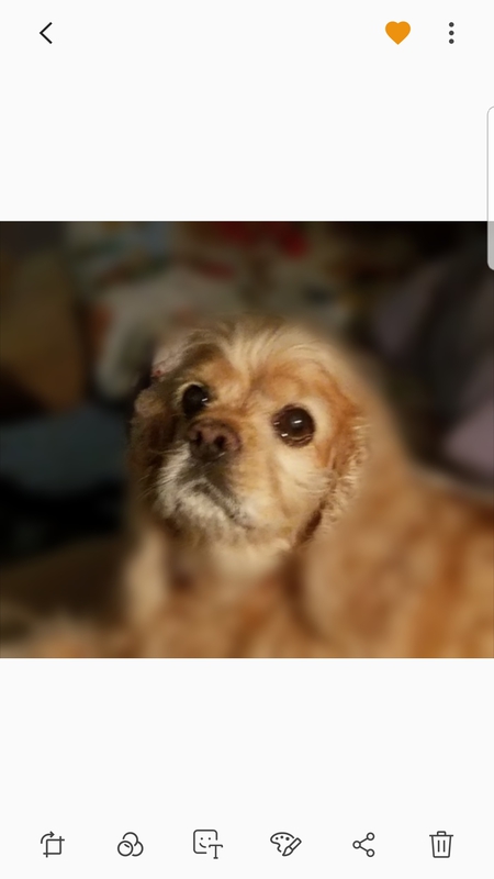 Maddie 