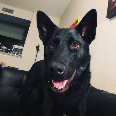 Milo 