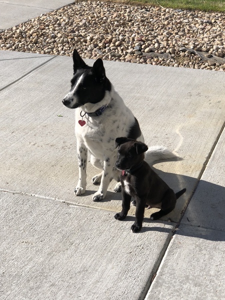 Bode, and Cooper