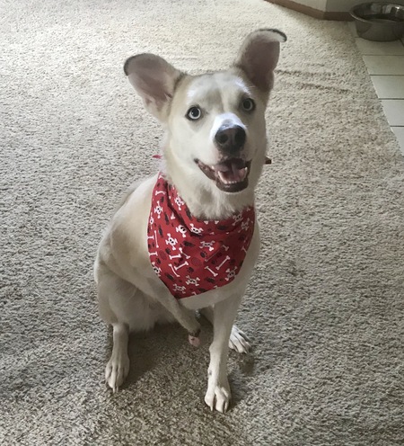 Lulu