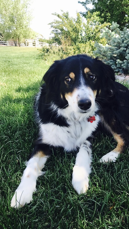 Sadie