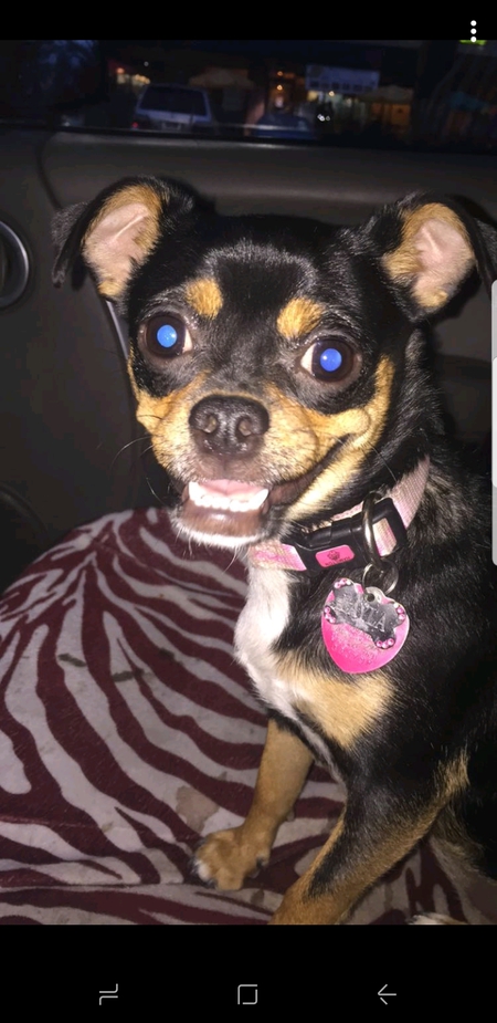 Layla