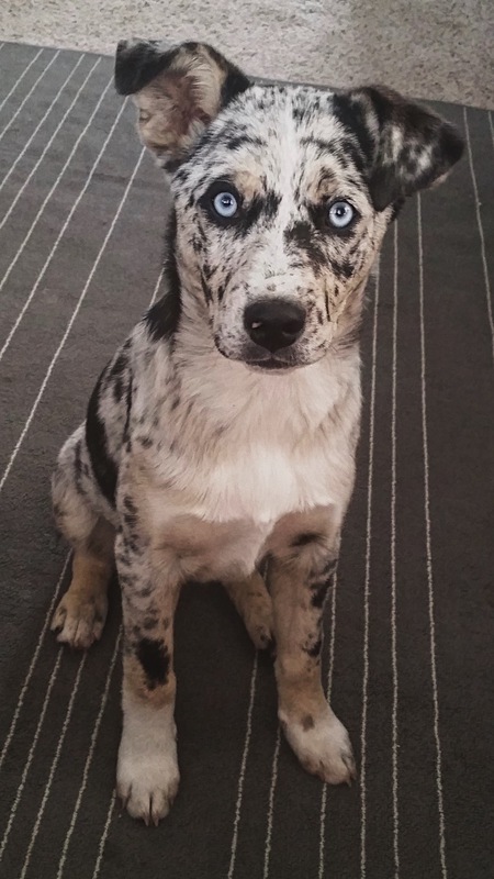 Zoey