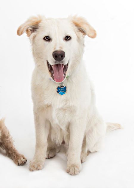 Rufus