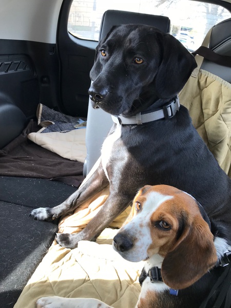 Mattie and Ruby