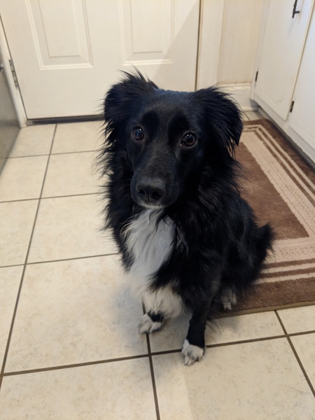 Ripley