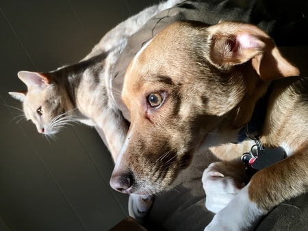 Mac and Tex