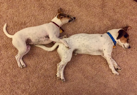 Ruth & Henry