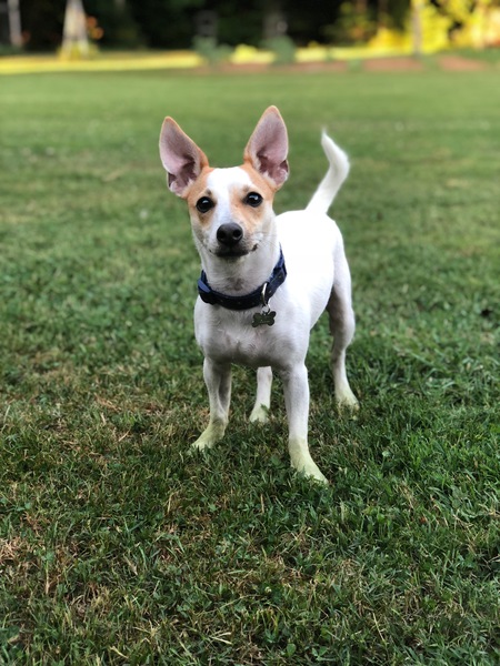 Jack
