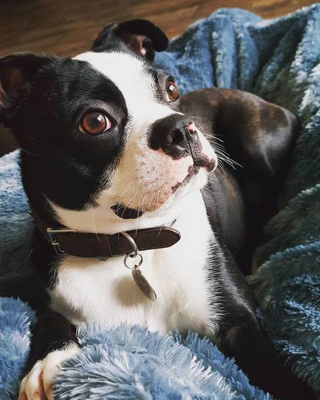 Pete