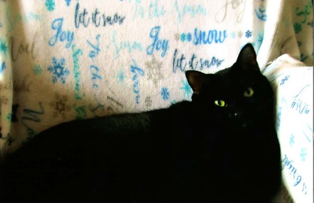 Freddy