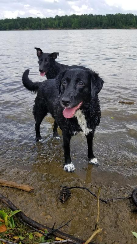 Sadie & Loki