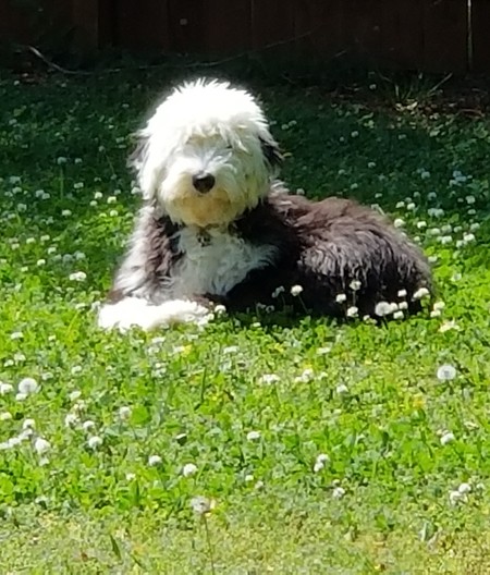 Doug