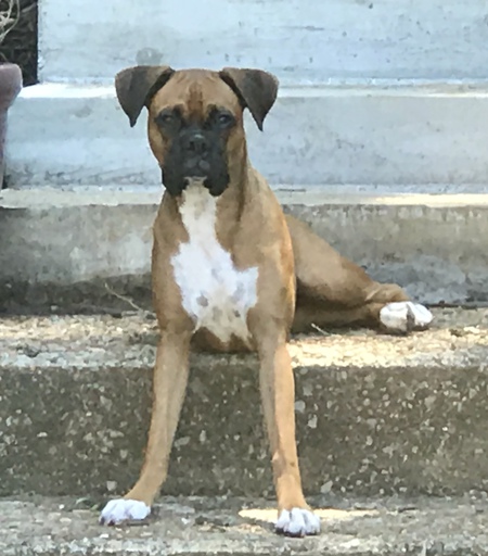 Molly