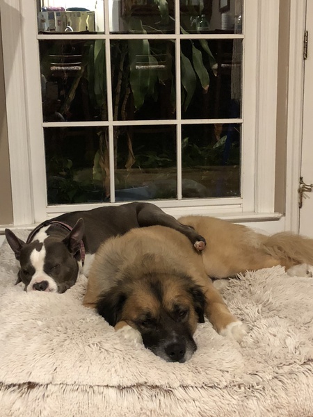 Maddison and bonita